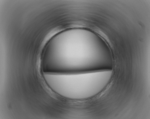 X0000114421179200910161046