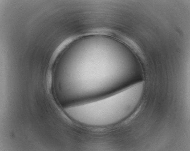 X0000114421180200910161046