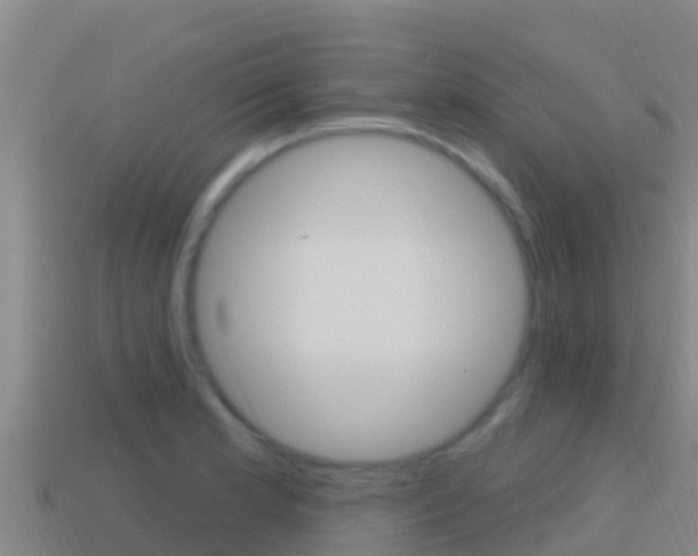 X0000114421181200910161046