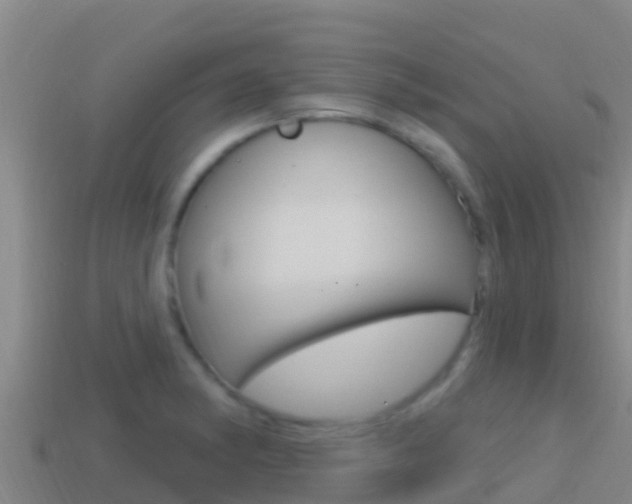 X0000114421182200910161046