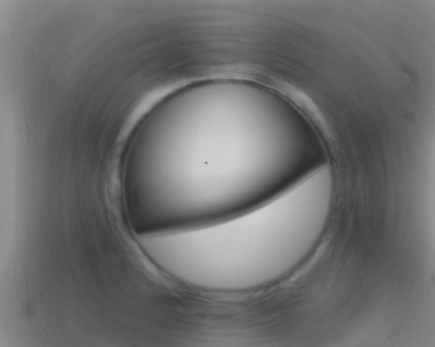 X0000114421184200910161046
