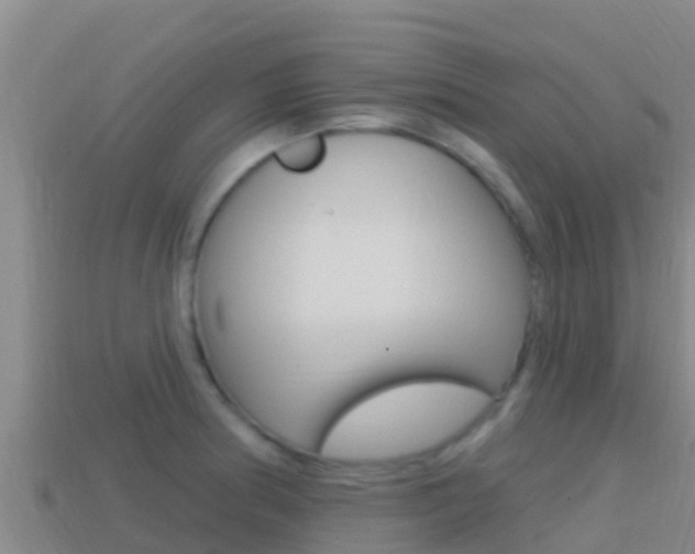 X0000114421186200910161046
