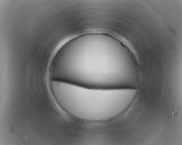 X0000114421187200910161046