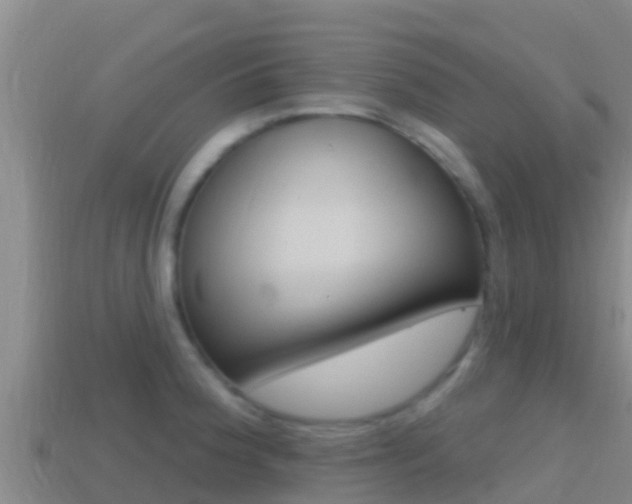 X0000114421188200910161046