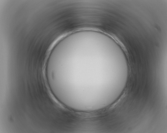 X0000114421189200910161046