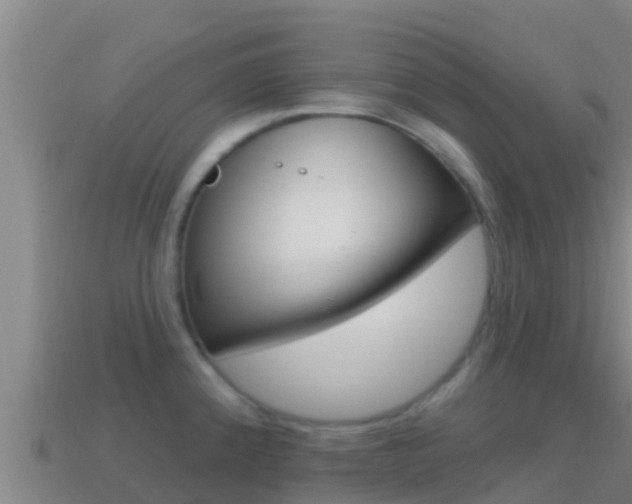 X0000114421192200910161046