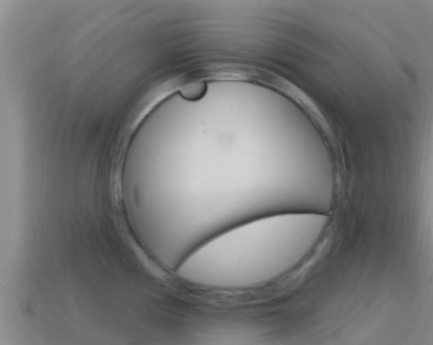 X0000114421194200910161046