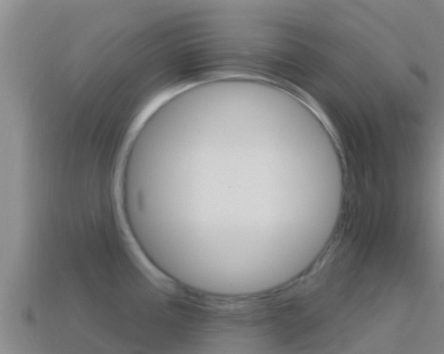 X0000114421195200910161046