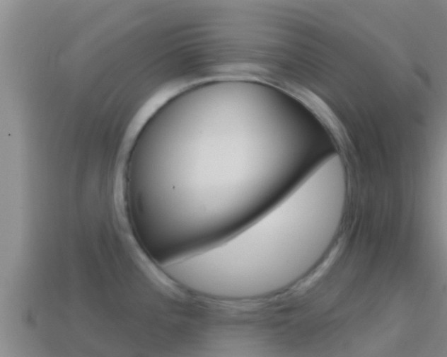 X0000114421196200910161046