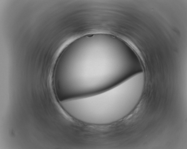 X0000114421197200910161046