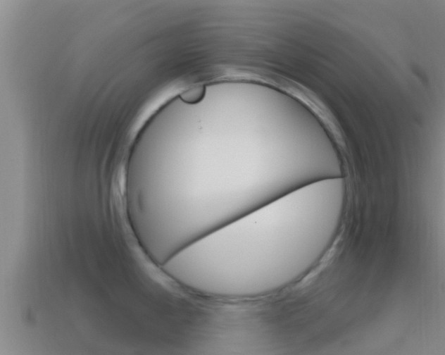 X0000114421198200910161046
