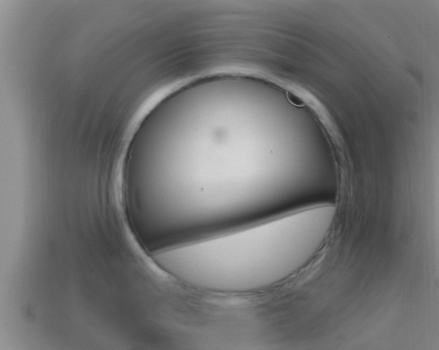 X0000114421199200910161046