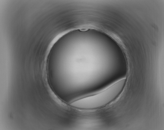 X0000114421200200910161046