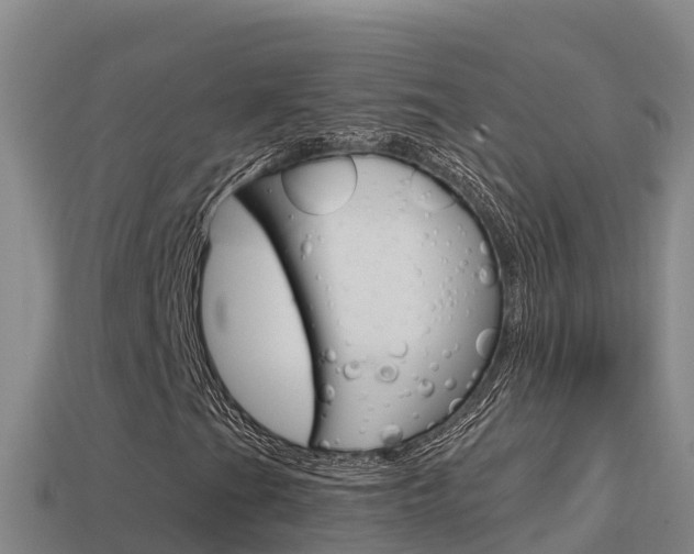X0000114421201200910161046