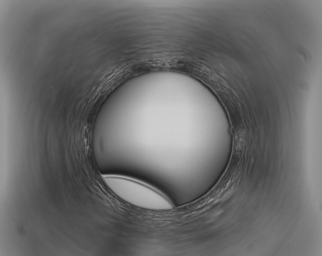 X0000114421202200910161046