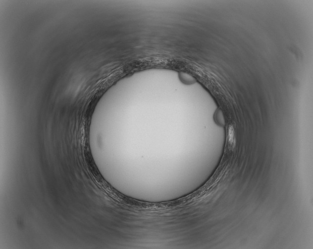 X0000114421203200910161046