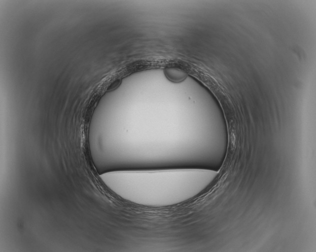 X0000114421204200910161046