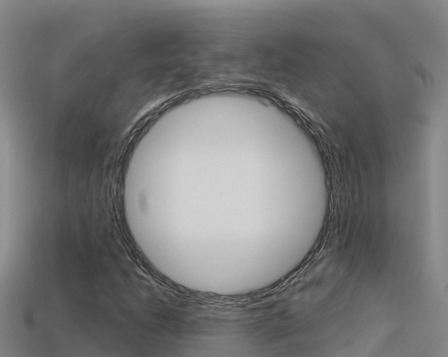 X0000114421206200910161046