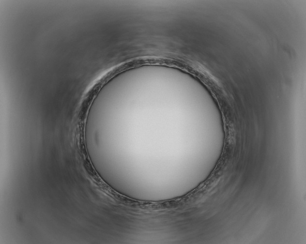 X0000114421208200910161046