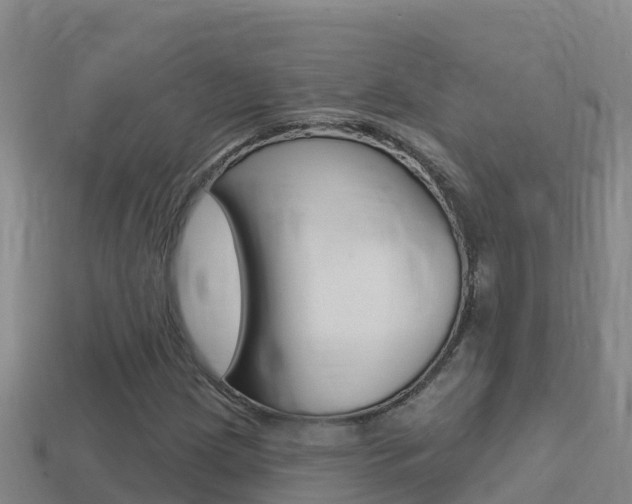 X0000114421209200910161046