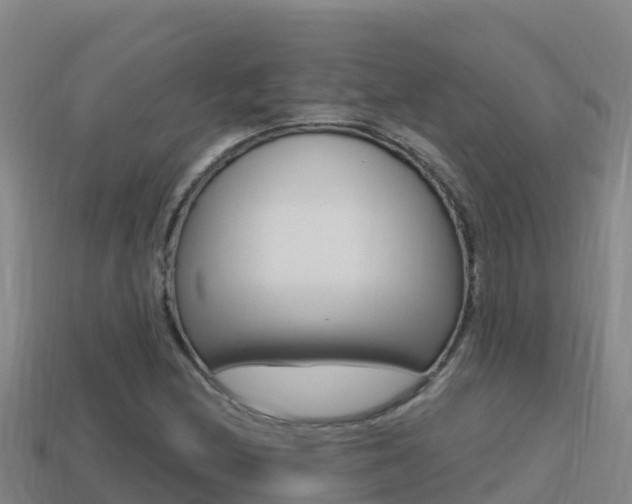 X0000114421212200910161046