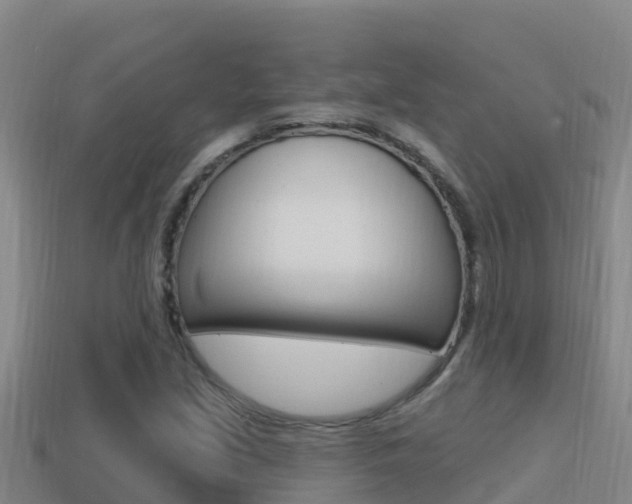 X0000114421213200910161046
