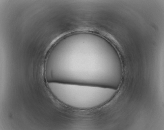 X0000114421220200910161046