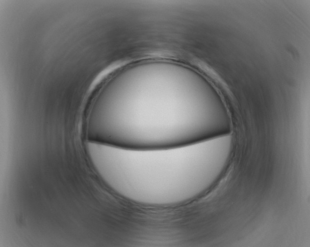X0000114421222200910161046