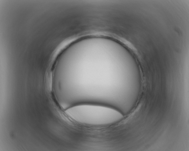X0000114421223200910161046