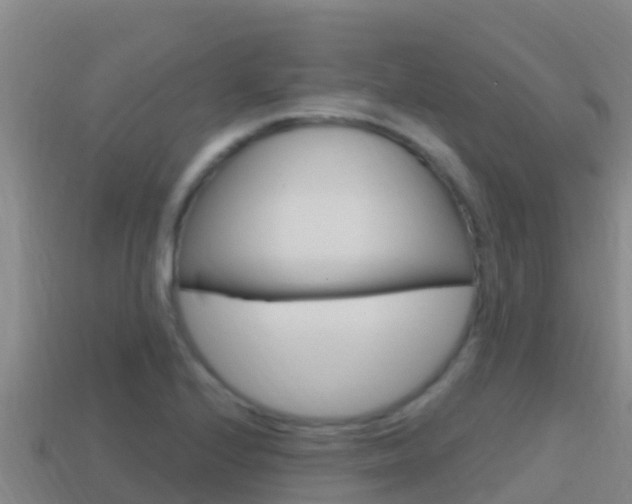 X0000114421224200910161046