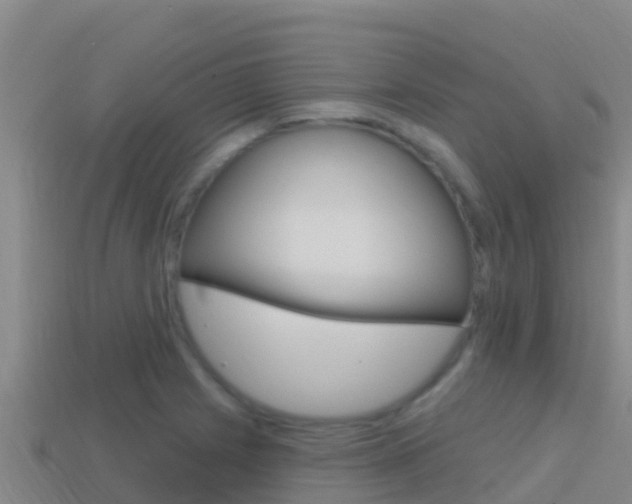 X0000114421225200910161046