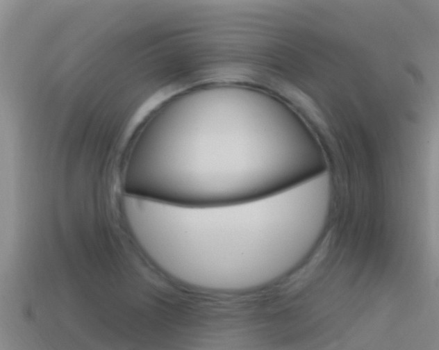 X0000114421226200910161046