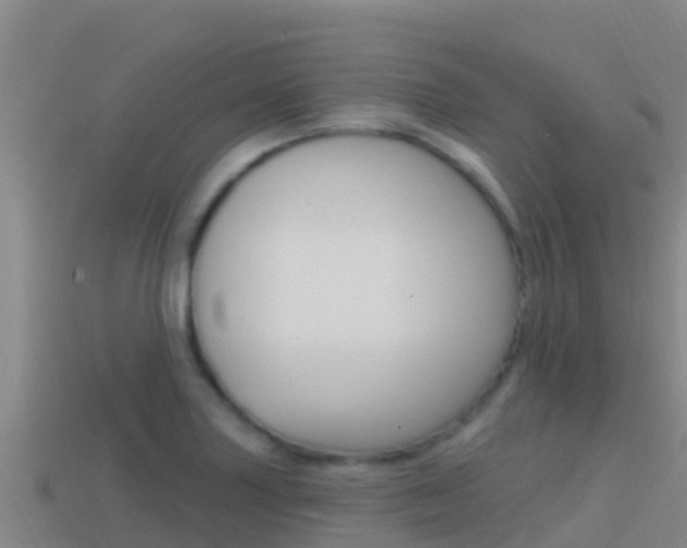 X0000114421227200910161046