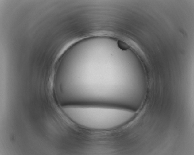 X0000114421228200910161046