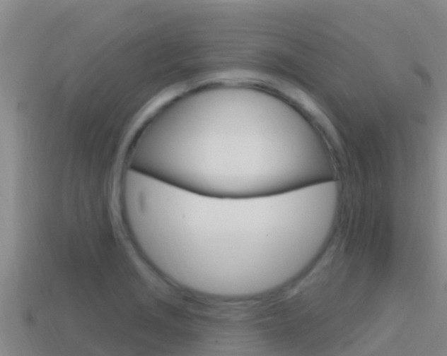 X0000114421229200910161046