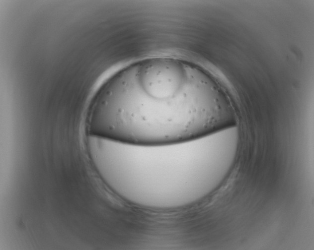 X0000114421230200910161046
