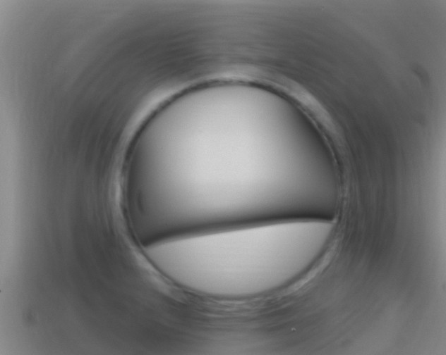 X0000114421232200910161046