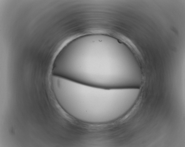 X0000114421236200910161046