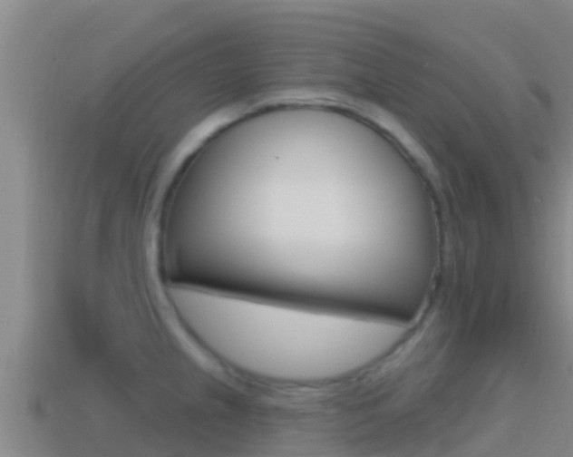 X0000114421237200910161046