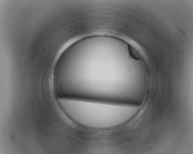 X0000114421238200910161046