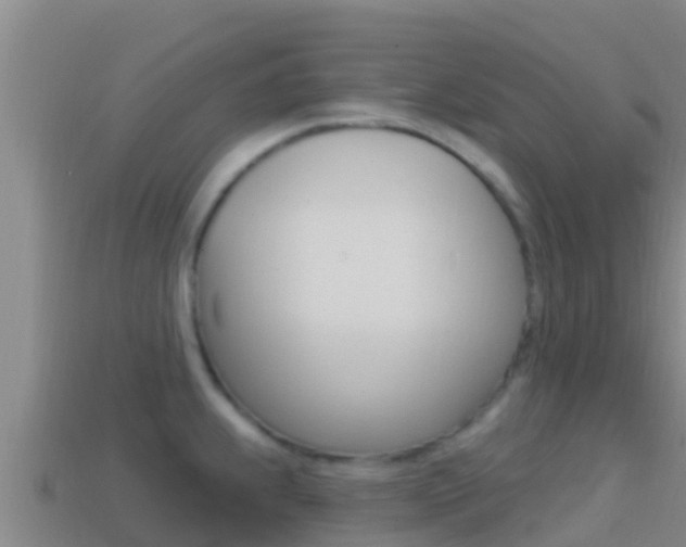 X0000114421239200910161046