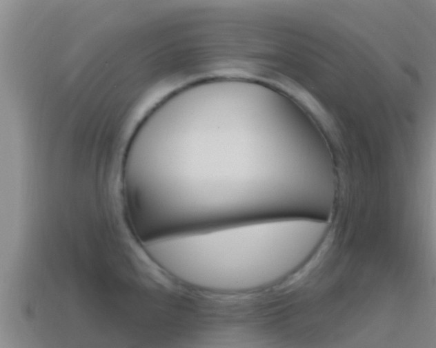 X0000114421240200910161046