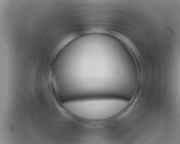 X0000114421241200910161046