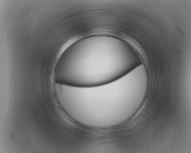 X0000114421242200910161046