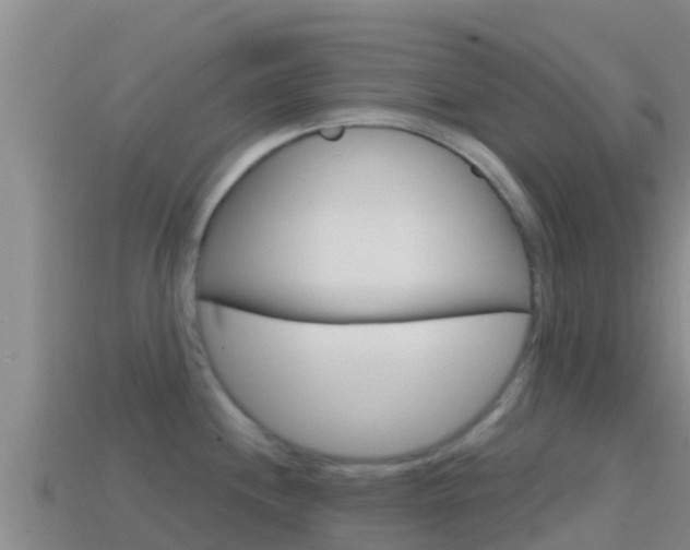 X0000114421244200910161046