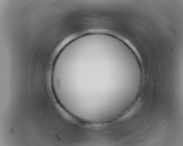 X0000114421245200910161046