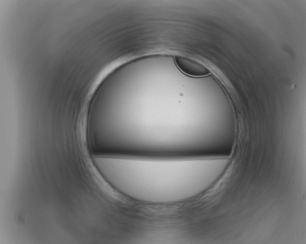X0000114421246200910161046