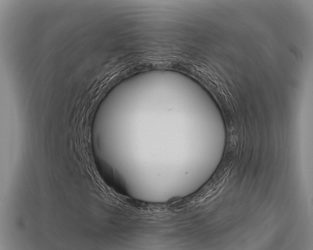 X0000114421249200910161046