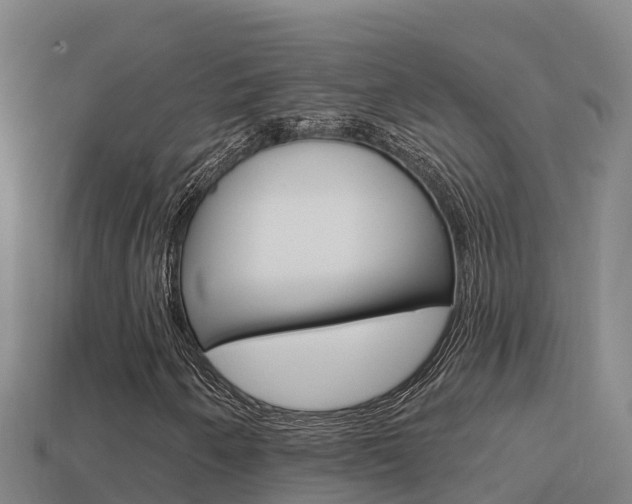 X0000114421250200910161046