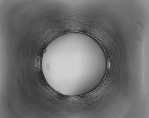X0000114421251200910161046
